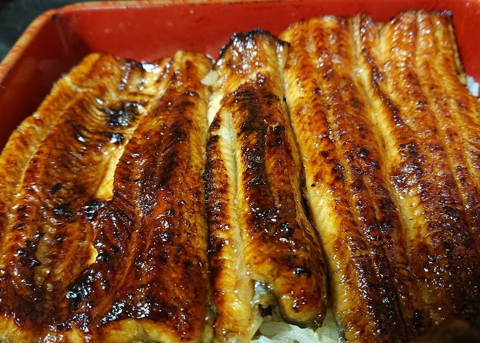 Grilled unagi eel laying on a bed of sticky rice, served in a traditional red dish.